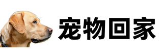 宠物寻找-宠物救援-找猫找狗-宠物回家-宠物回家